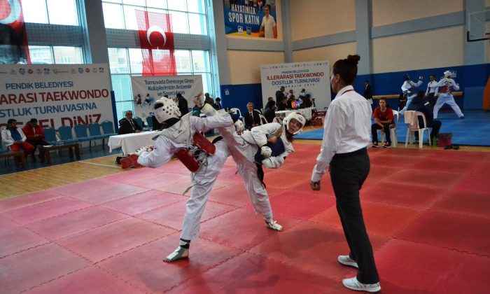 Taekwondo Dostluk Turnuvası