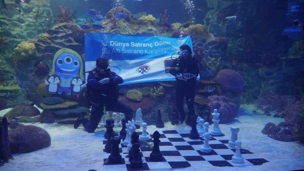 Dünya Satranç Günü kutlandı        