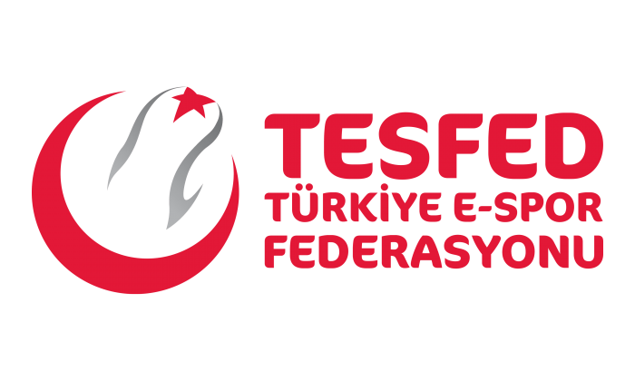Espor Federasyonu Yönetim Kurulu açıklandı