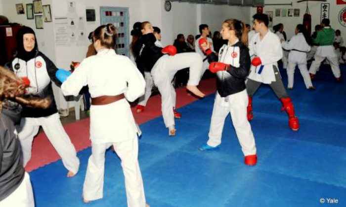 Karatede lig müsabakaları hakkında seminer verildi