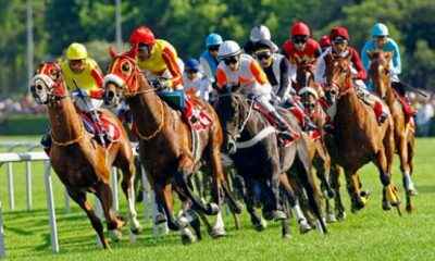 At yarışları için erteleme kararı tekrar değerlendirilecek   