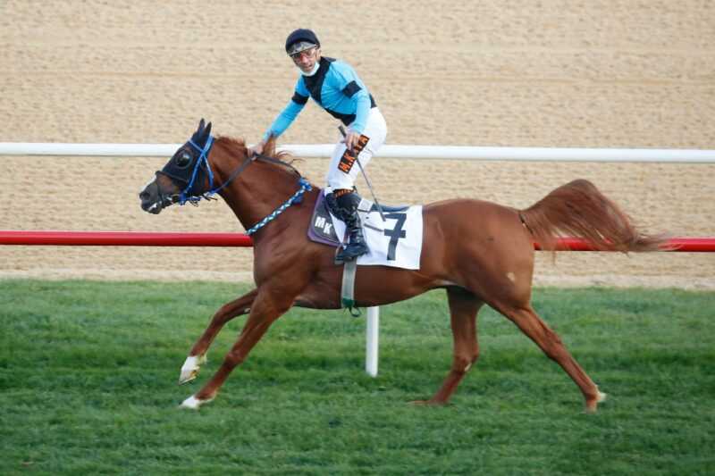 Cumhuriyet ve Cumhurbaşkanlığı Koşuları’nda Kupalar Sahiplerini Buldu