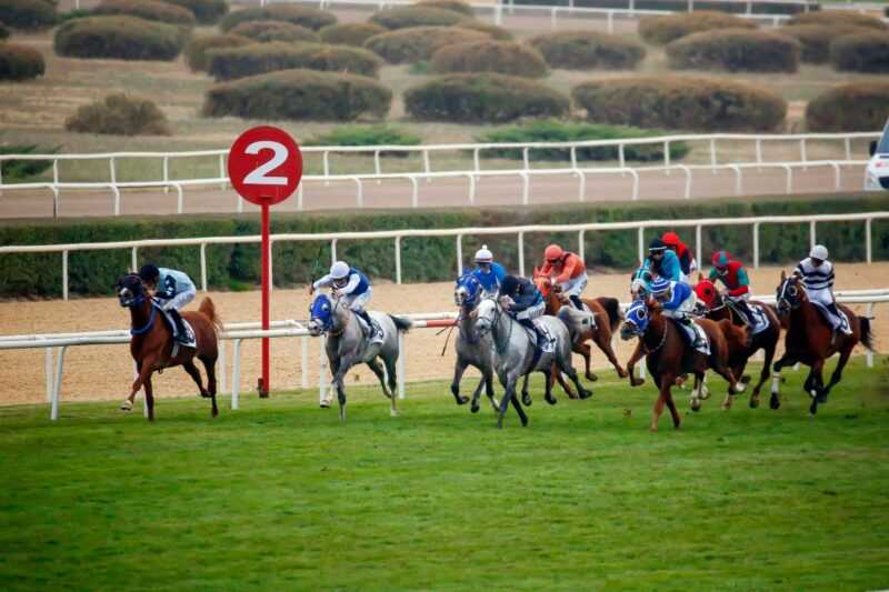 G1 Cumhurbaşkanlığı ve G1 Cumhuriyet Koşusu 30 Ekim’de Ankara’da